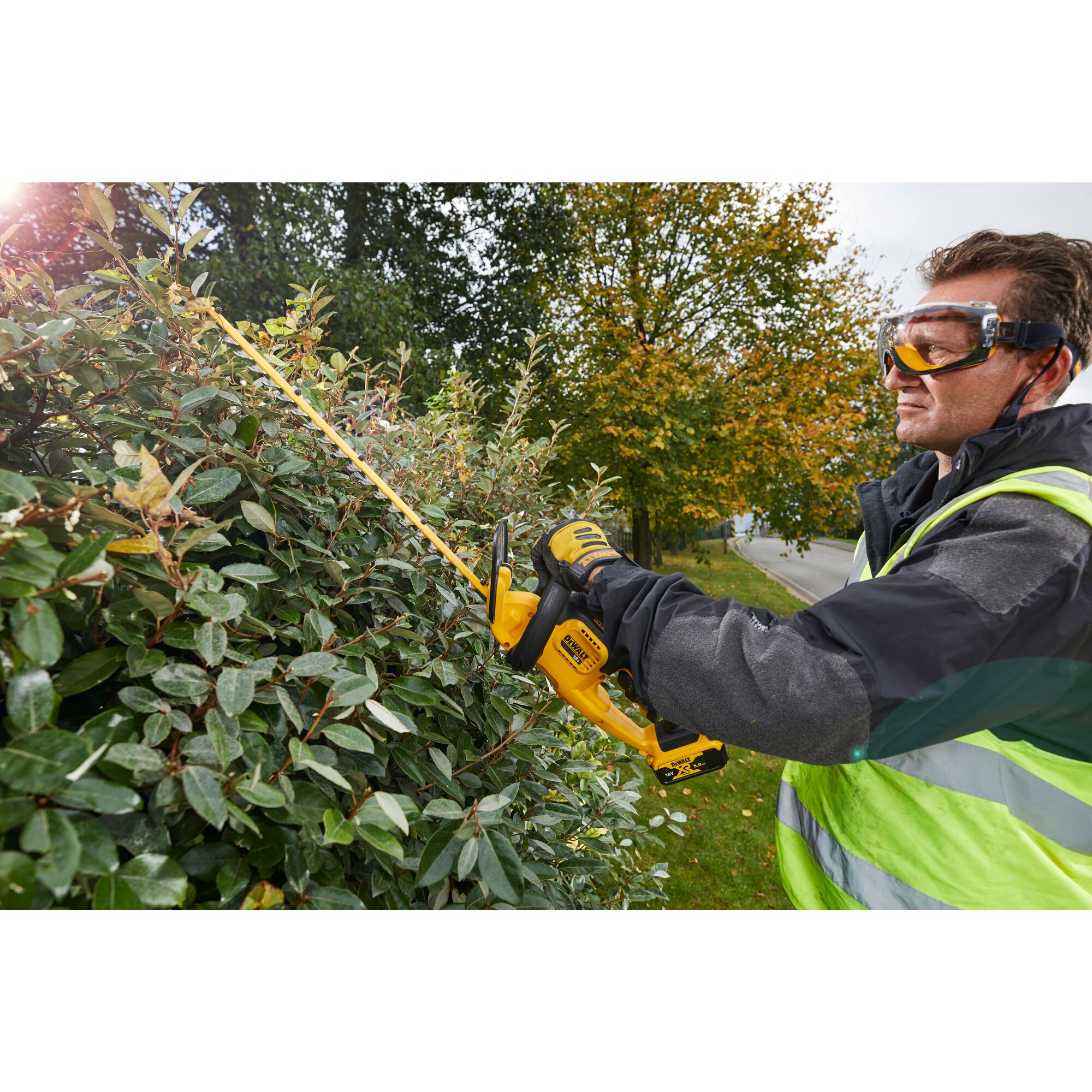 Dewalt dcm563pb discount